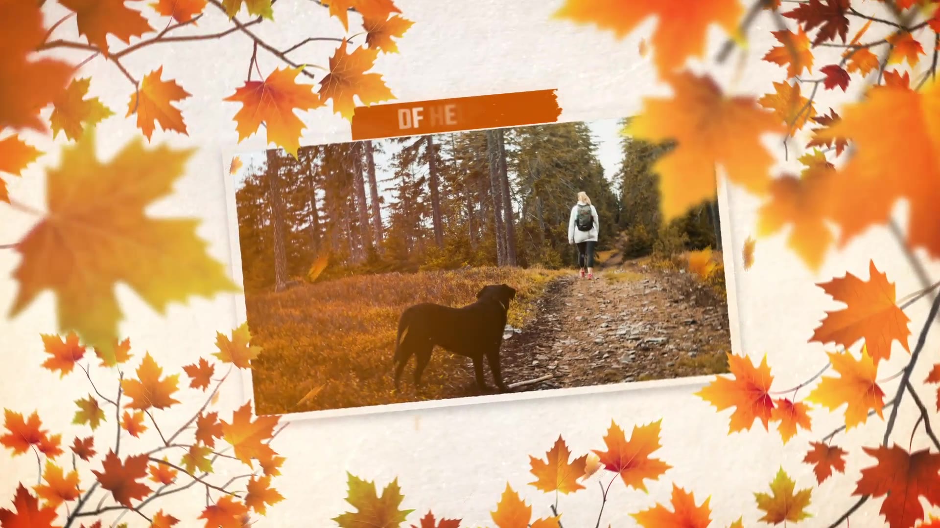 Autumn Memories Slideshow Videohive 34031335 After Effects Image 7