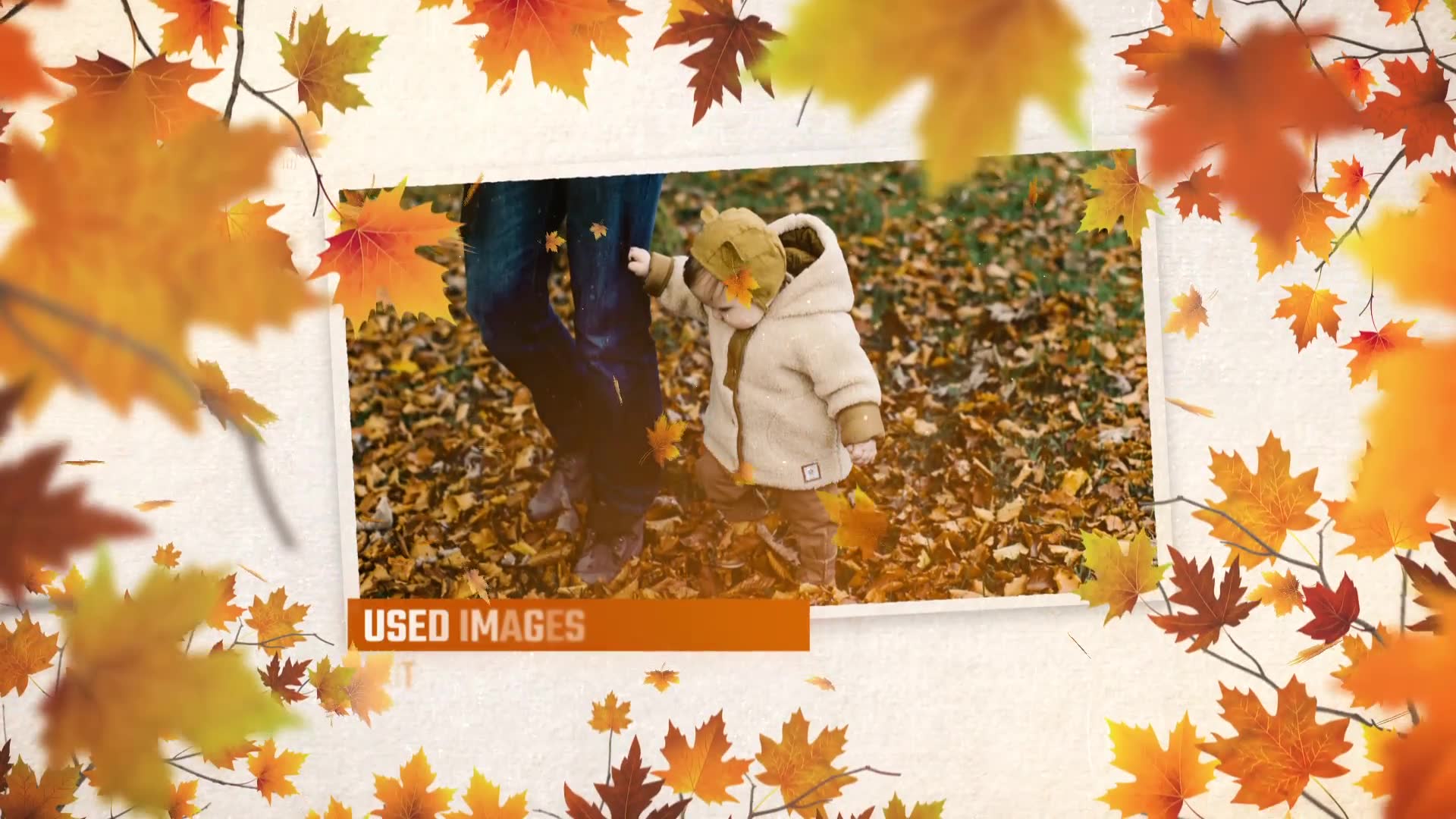 Autumn Memories Slideshow Videohive 34031335 After Effects Image 8