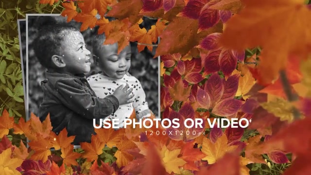 Autumn Opener Thanksgiving Videohive 34802477 After Effects Image 6