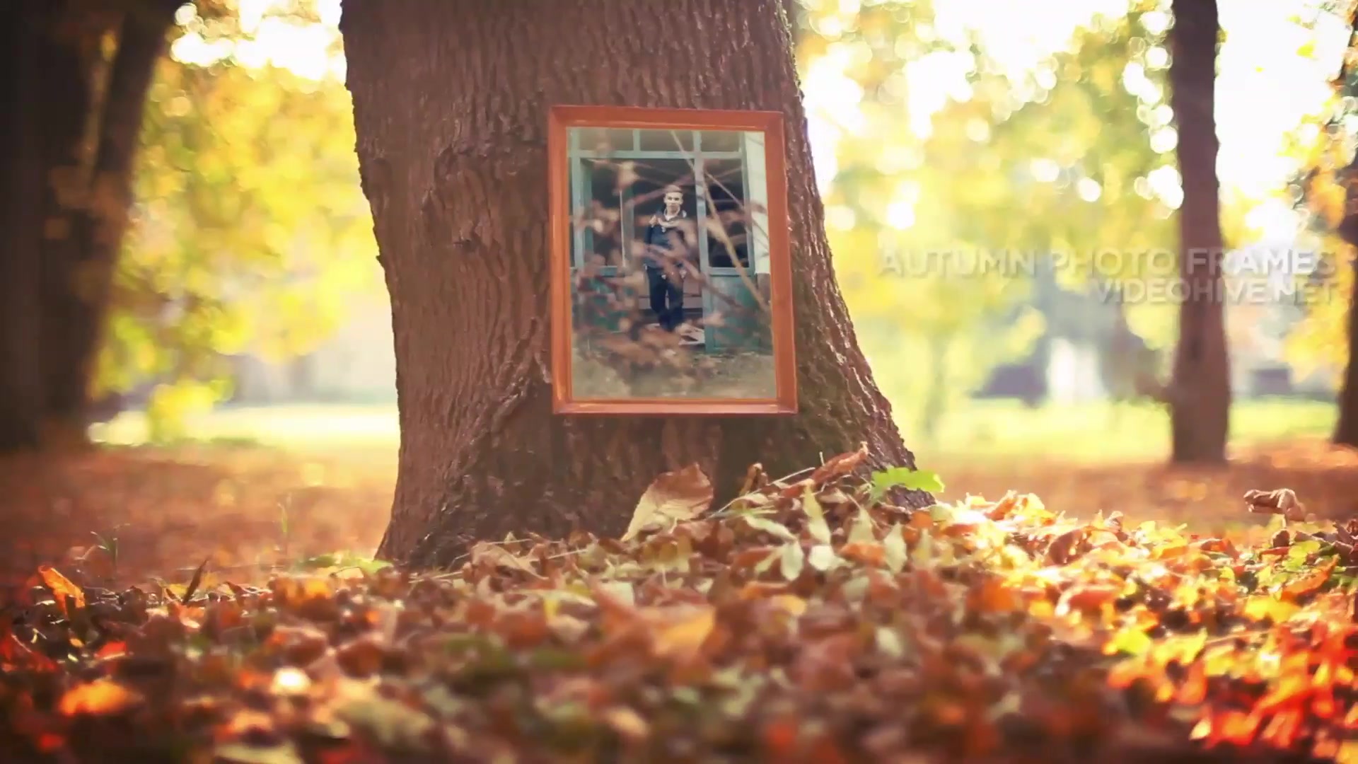 Autumn Photo Frames - Download Videohive 6583597