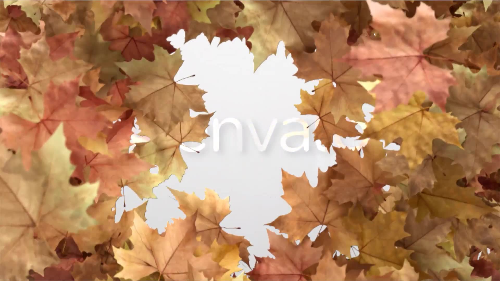 Autumn Reveal Apple Motion Videohive 28528065 Apple Motion Image 3