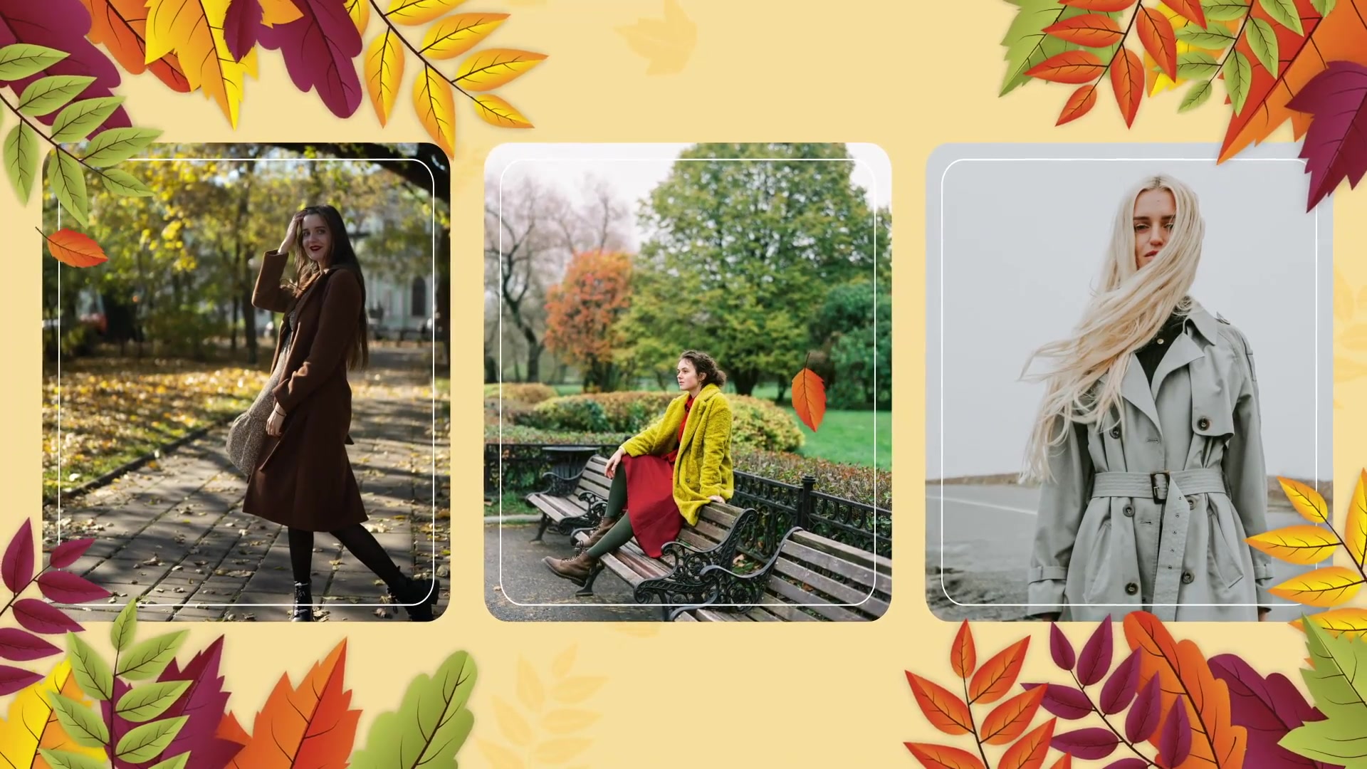 Autumn Sale Videohive 39705005 After Effects Image 8