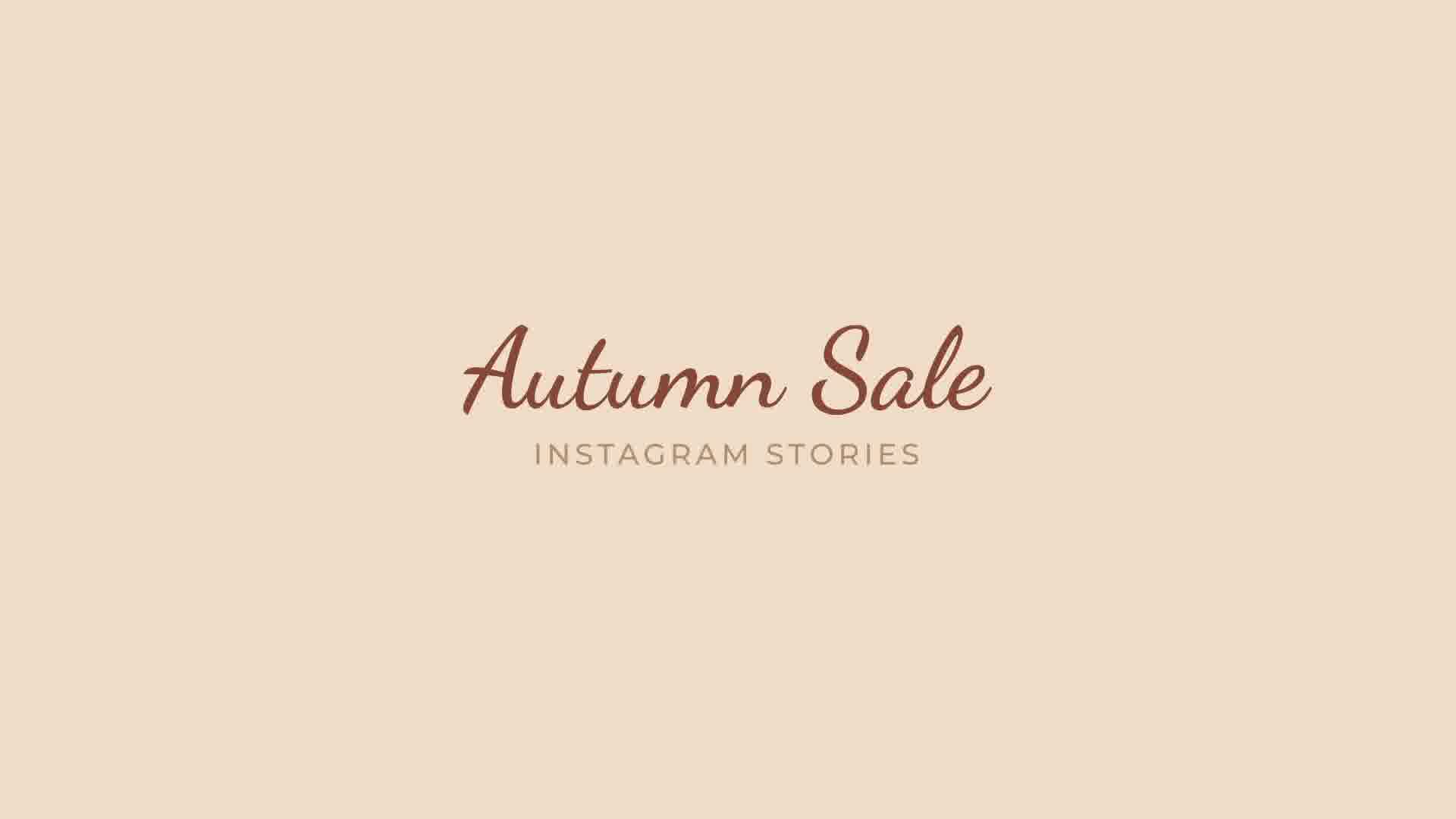Autumn Sale Instagram Stories Videohive 33733681 After Effects Image 13