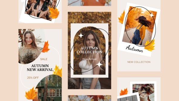 Autumn Sale Instagram Stories - 33733681 Download Videohive