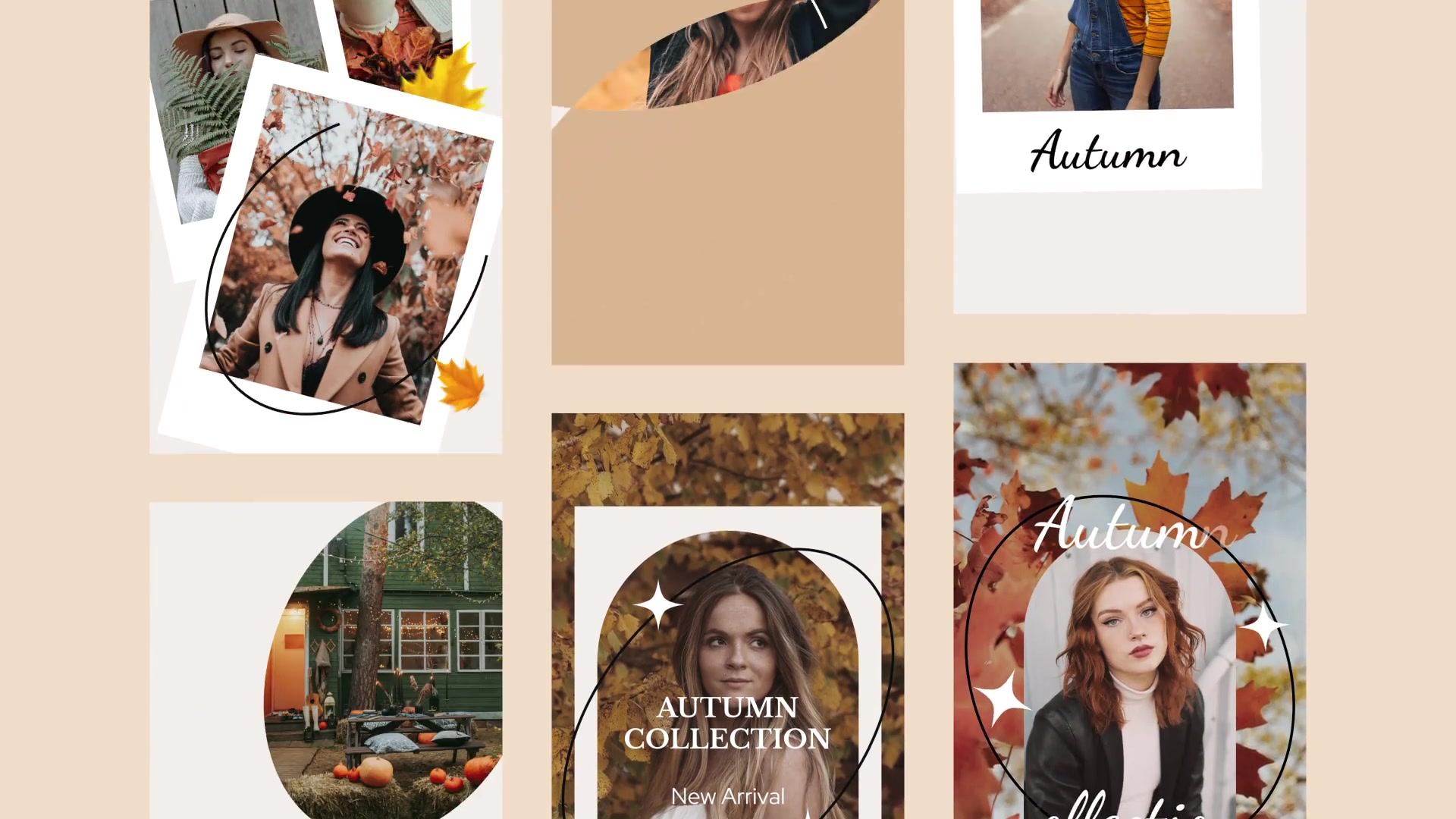 Autumn Sale Instagram Stories for Premiere Pro Videohive 33812640 Premiere Pro Image 4
