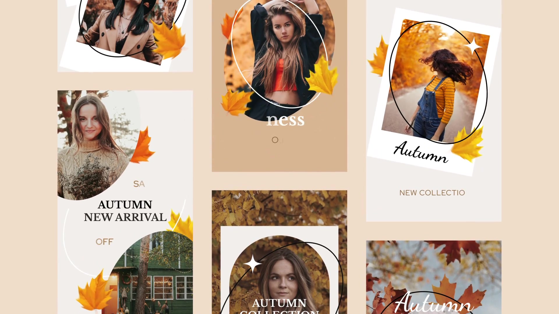 Autumn Sale Instagram Stories for Premiere Pro Videohive 33812640 Premiere Pro Image 5