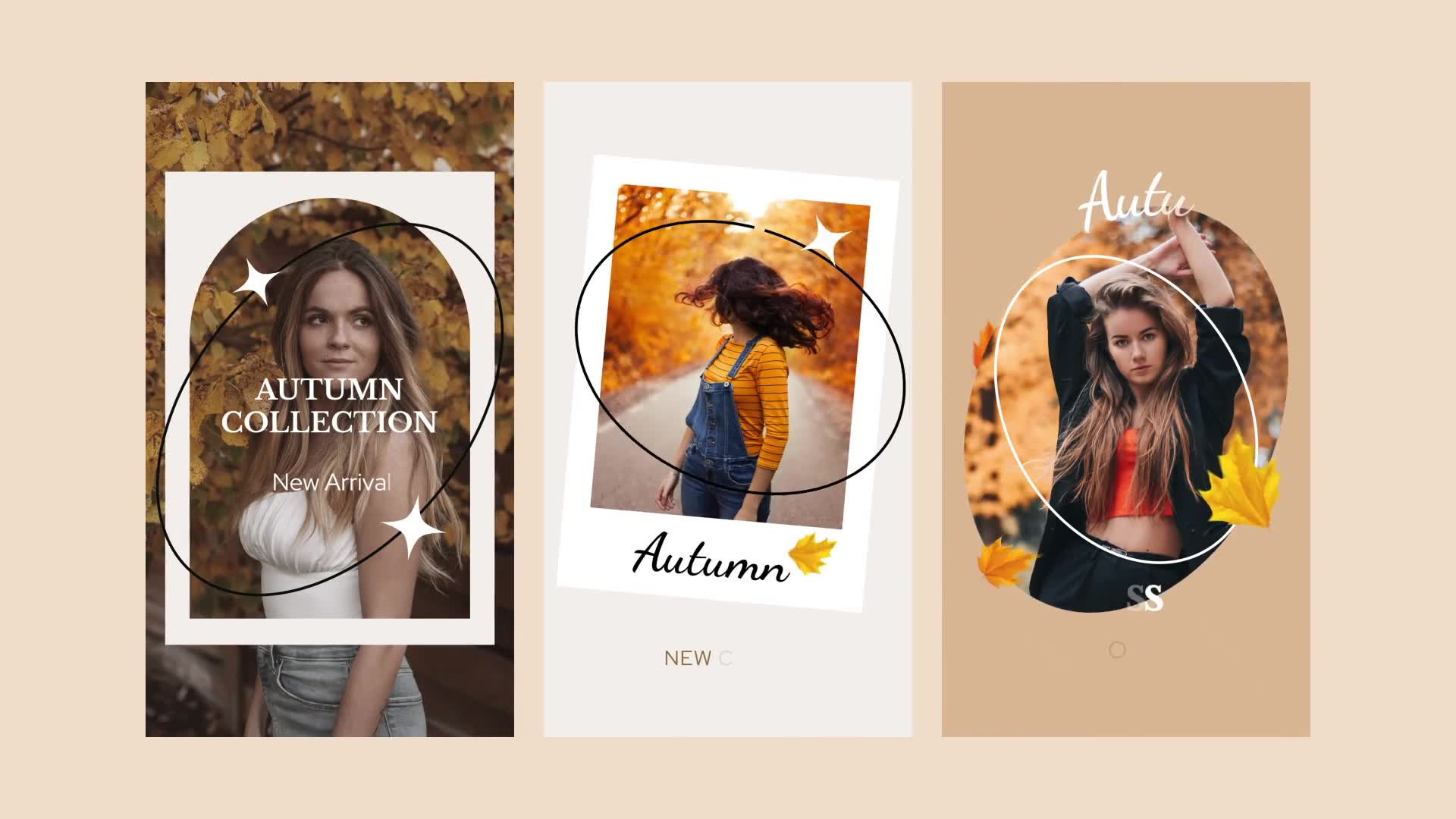 Autumn Sale Instagram Stories for Premiere Pro Videohive 33812640 Premiere Pro Image 7