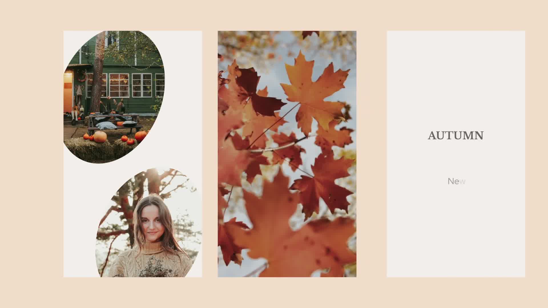Autumn Sale Instagram Stories for Premiere Pro Videohive 33812640 Premiere Pro Image 9