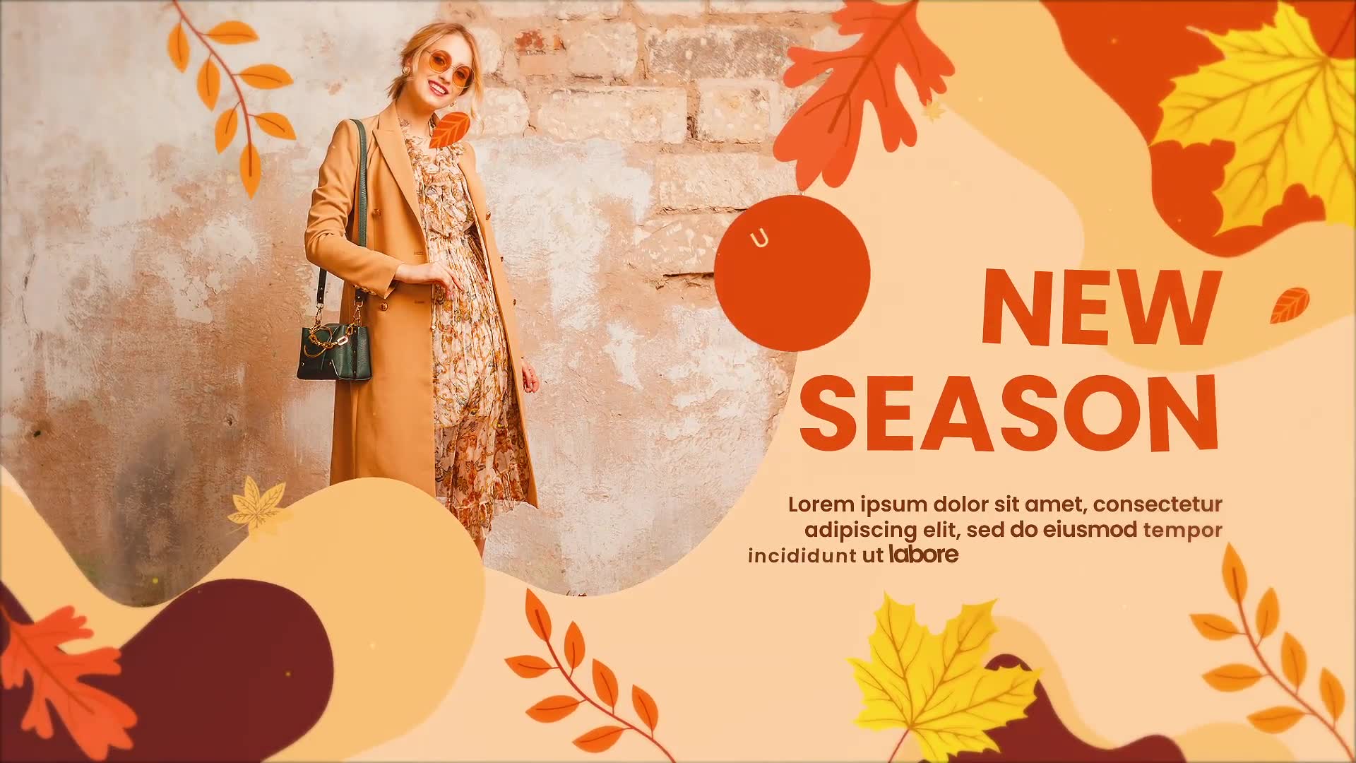 Autumn Sale Promo Videohive 33736541 After Effects Image 2
