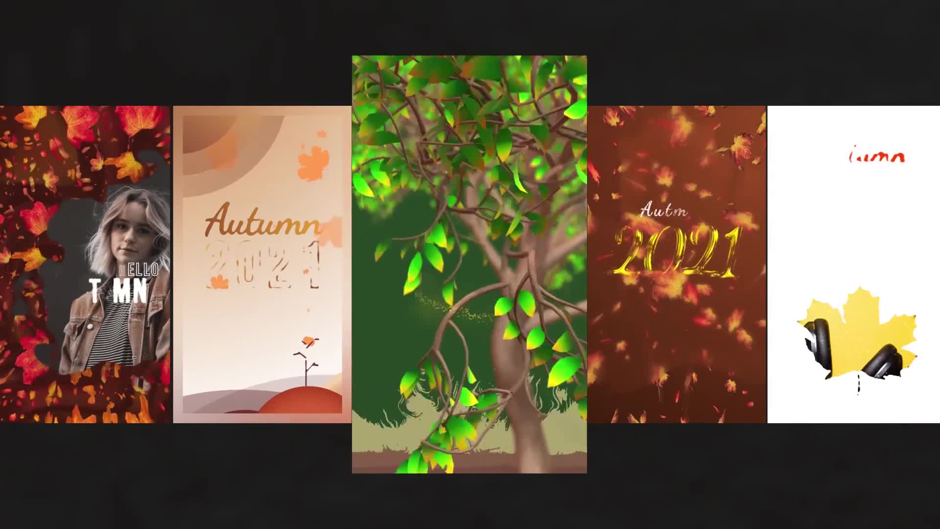 Autumn Season Instagram Stories Videohive 33824040 Premiere Pro Image 1