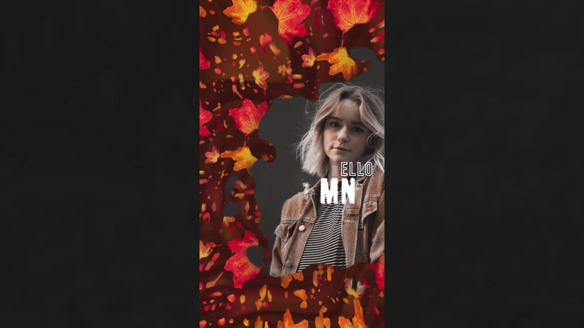 Autumn Season Instagram Stories Videohive 33824040 Premiere Pro Image 8