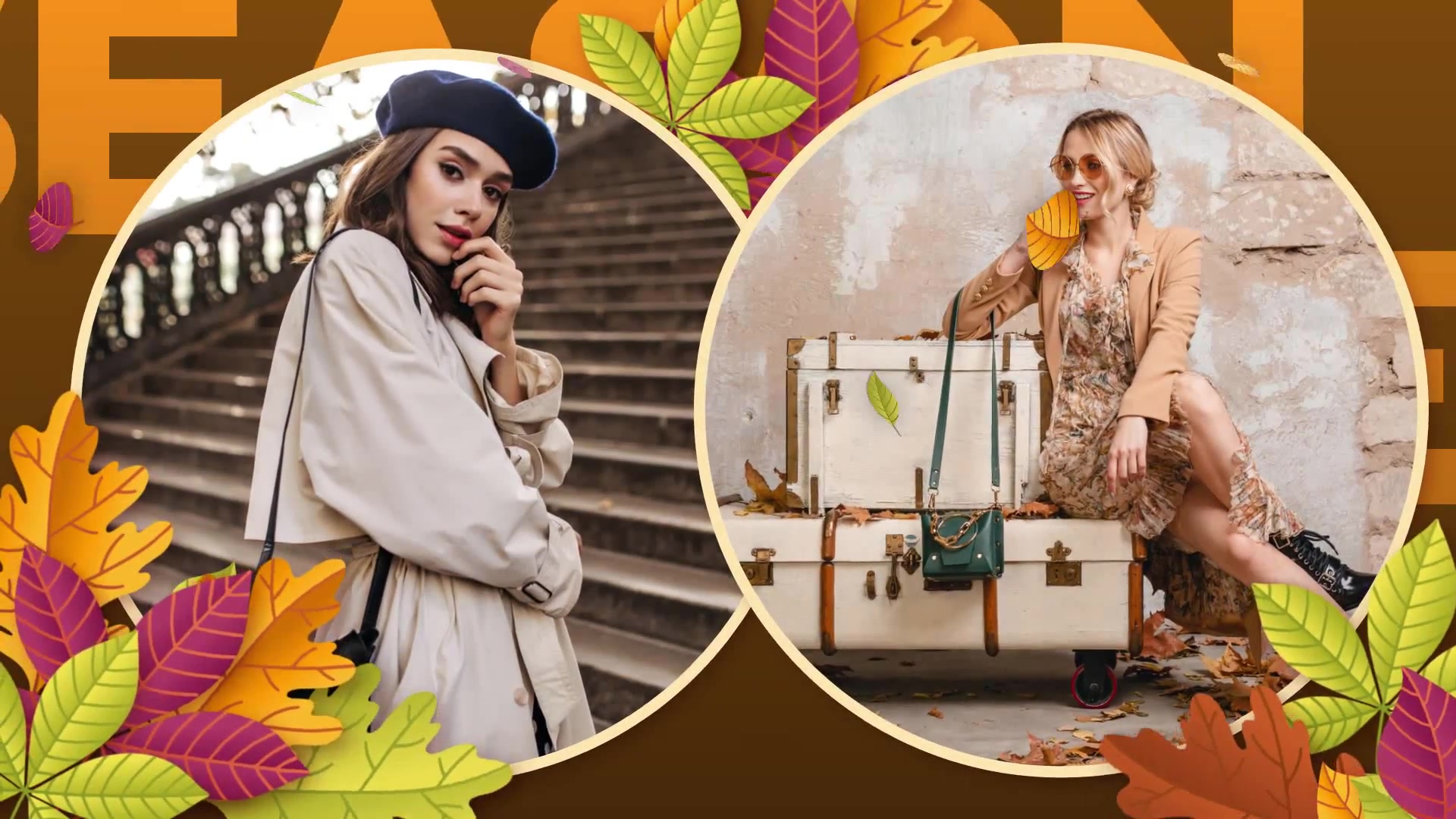 Autumn Season Sale Promo Videohive 34066767 After Effects Image 5