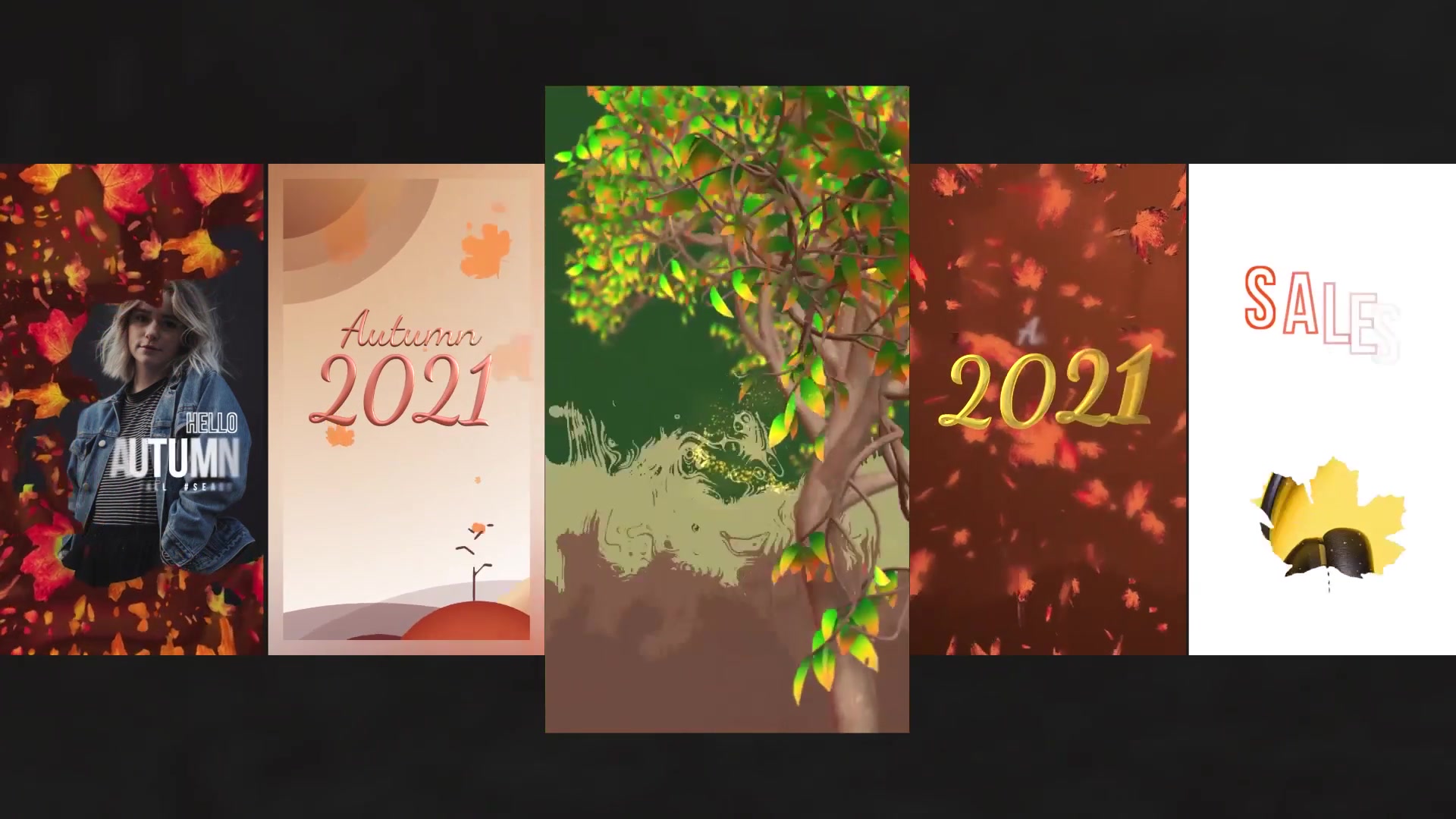 Autumn Season Stories Videohive 33862531 Apple Motion Image 10