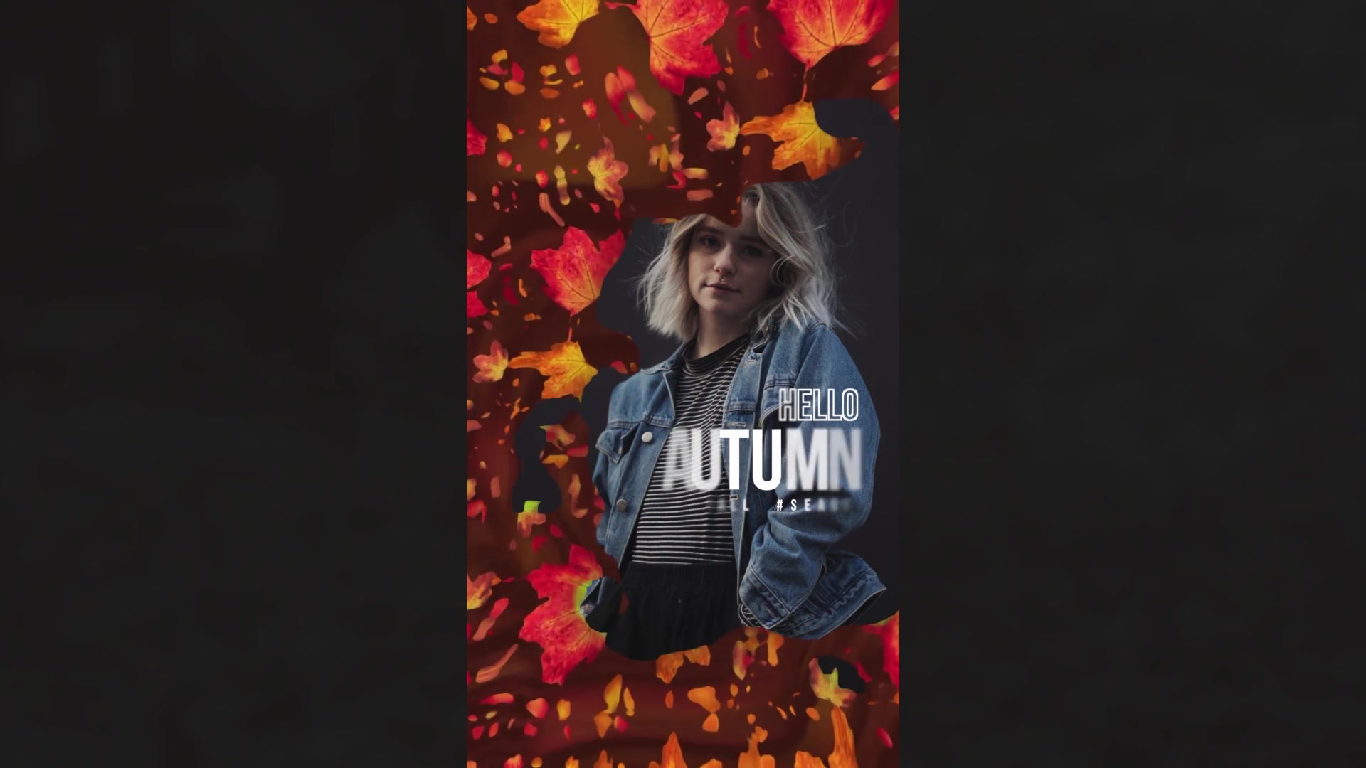 Autumn Season Stories Videohive 33862531 Apple Motion Image 6