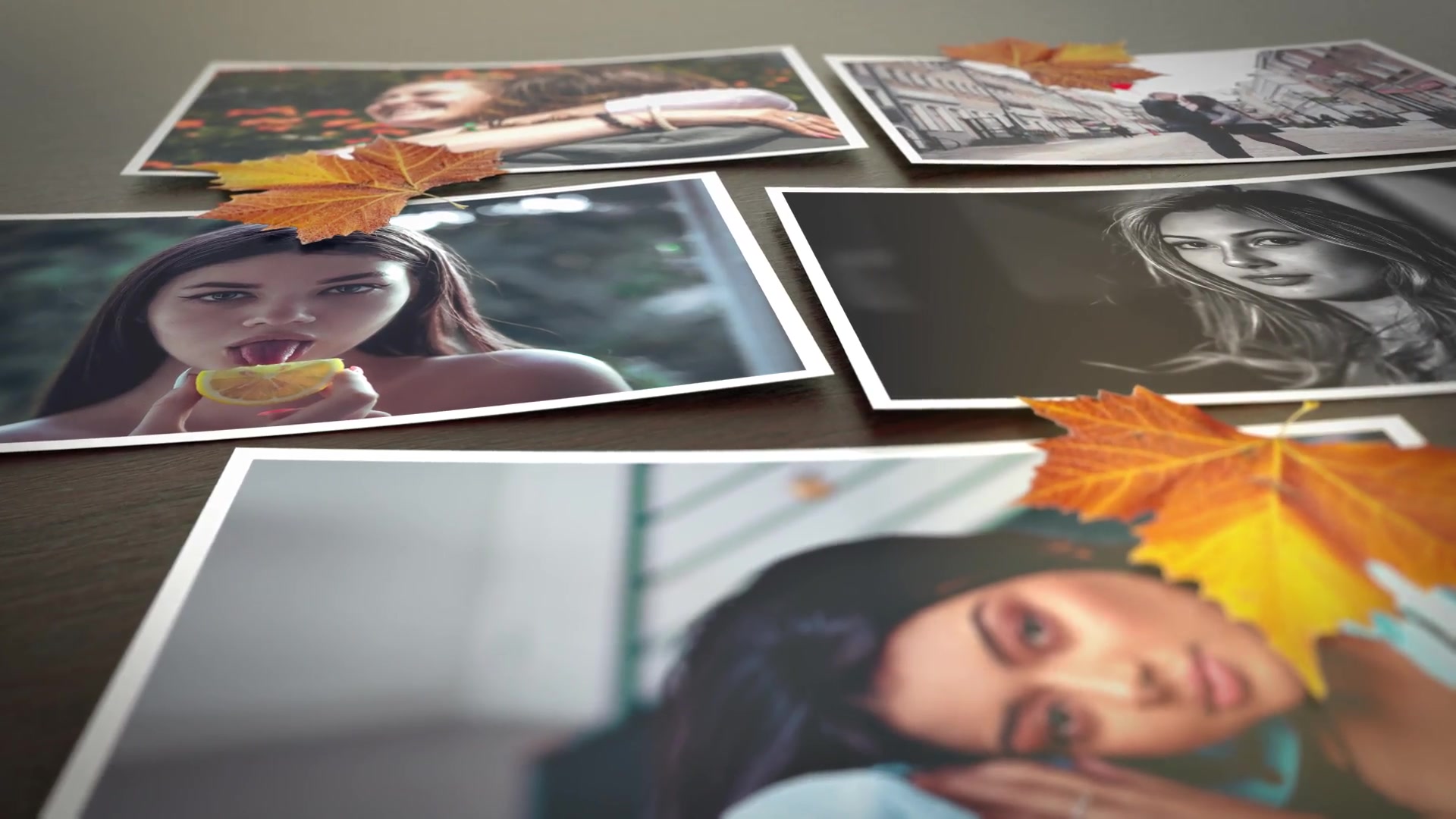 Autumn Slideshow Videohive 24767835 After Effects Image 4