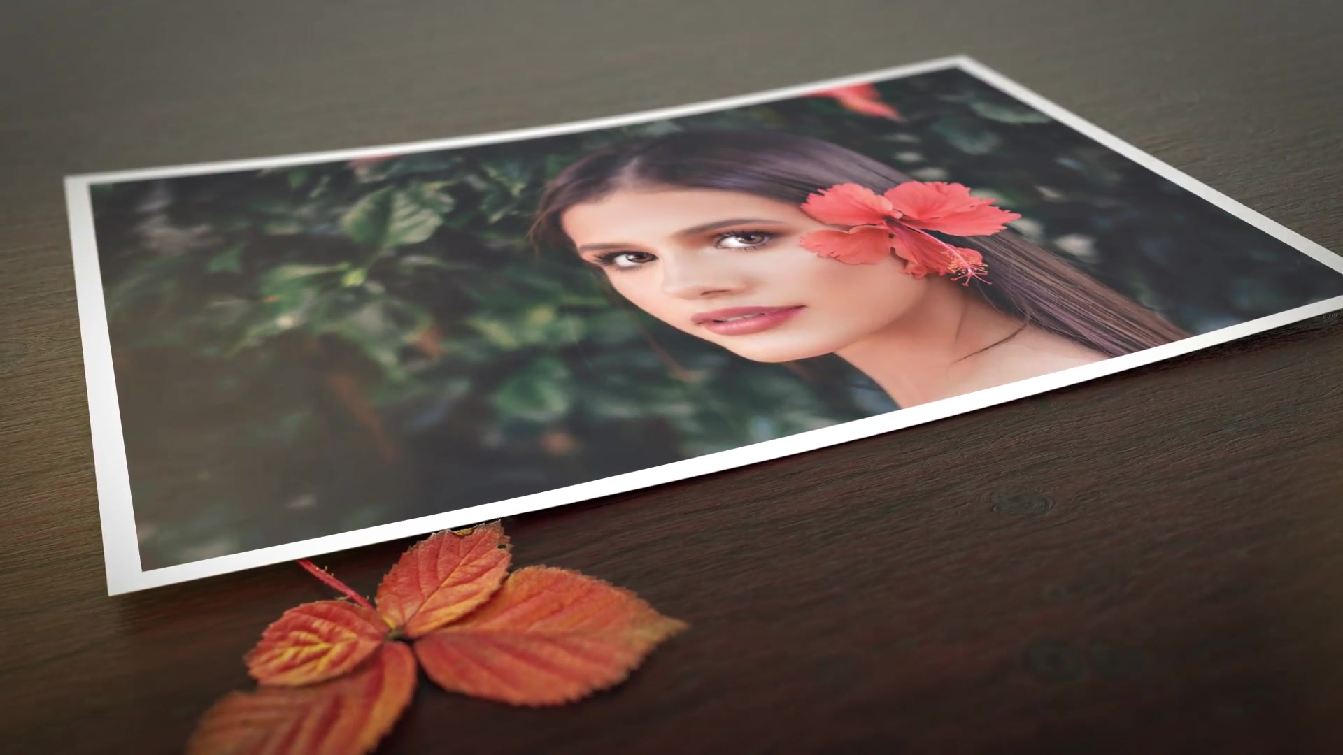 Autumn Slideshow Videohive 24767835 After Effects Image 6