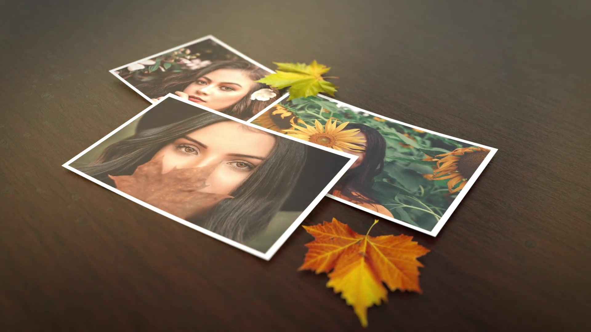 Autumn Slideshow Videohive 24767835 After Effects Image 9