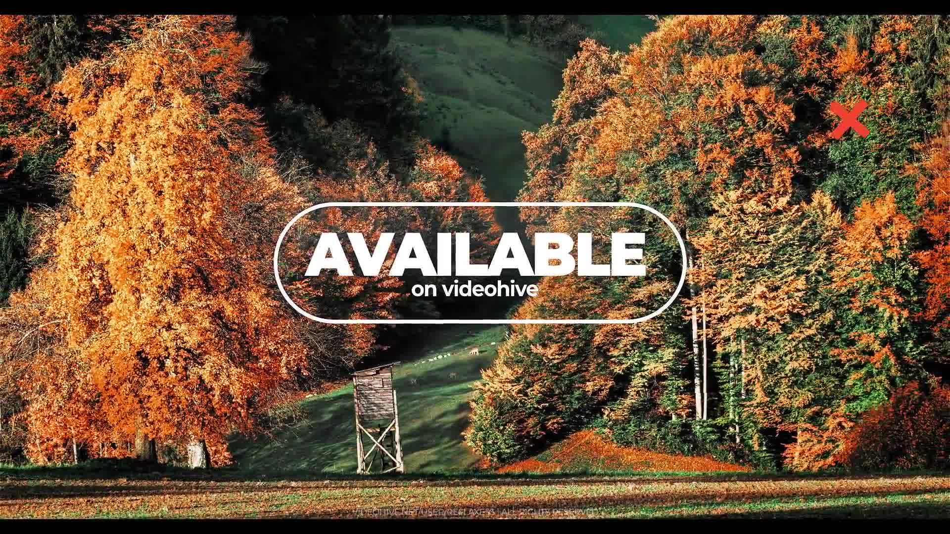 Autumn slideshow Videohive 33718571 After Effects Image 10