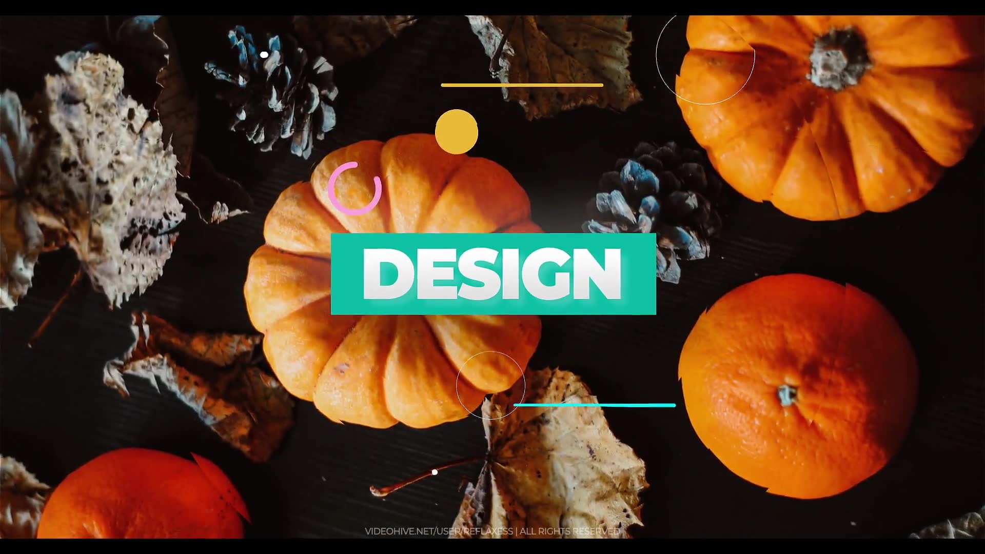 Autumn slideshow Videohive 33718571 After Effects Image 6