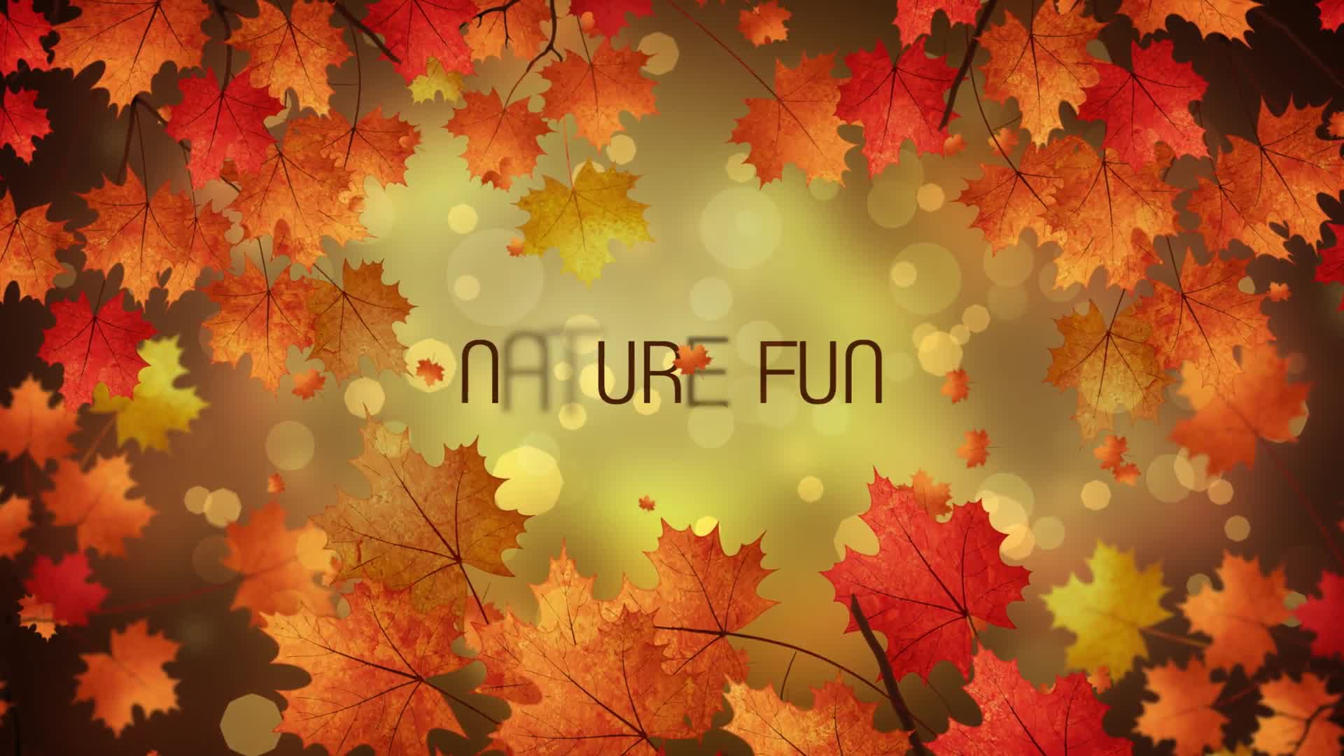 Autumn Titles Apple Motion Videohive 28385147 Apple Motion Image 8