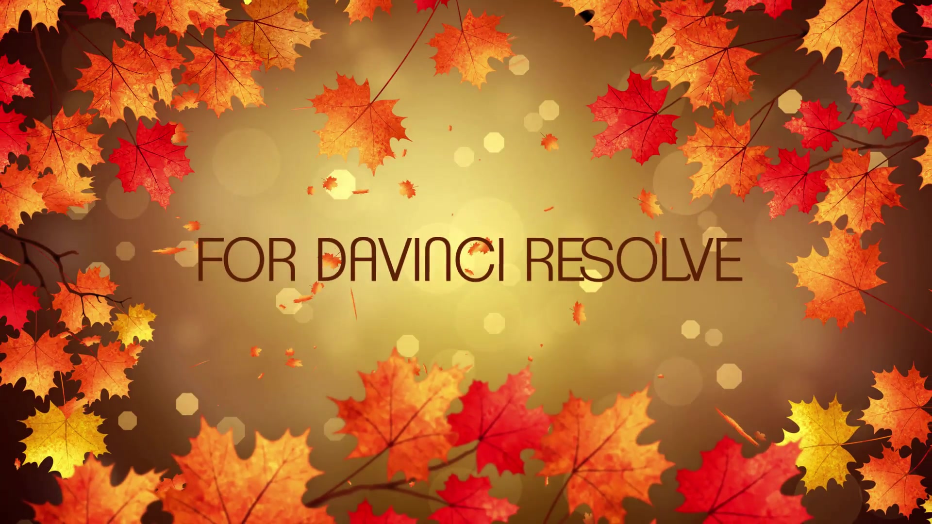 Autumn Titles DaVinci Resolve Videohive 33860164 DaVinci Resolve Image 4