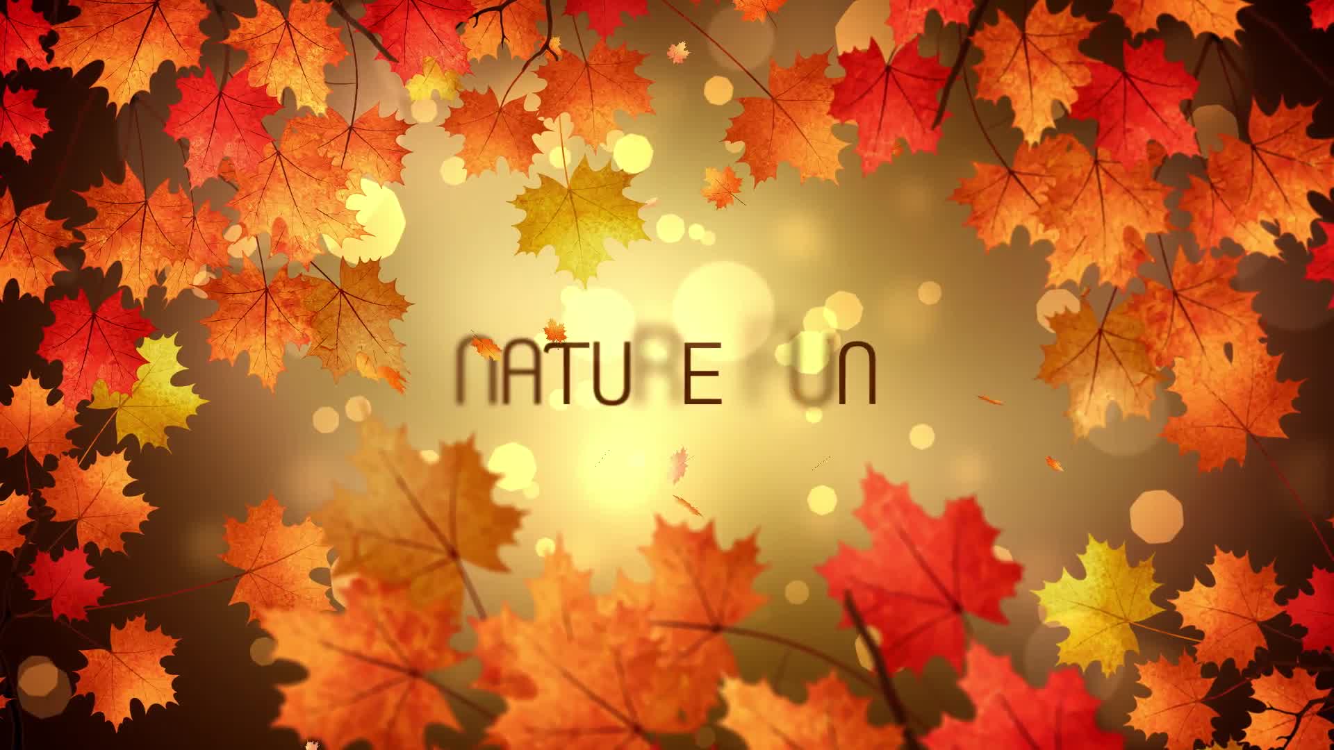 Autumn Titles Premiere Pro Videohive 24823989 Premiere Pro Image 8