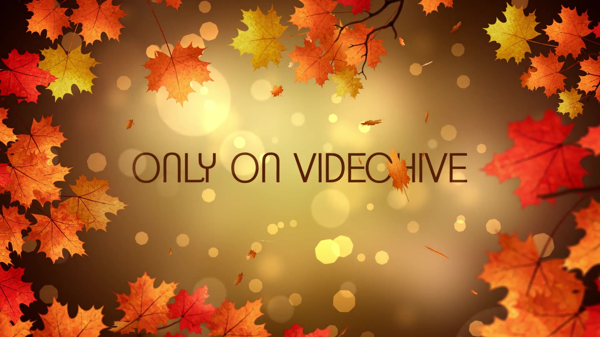 Autumn Titles Videohive 24779626 After Effects Image 5