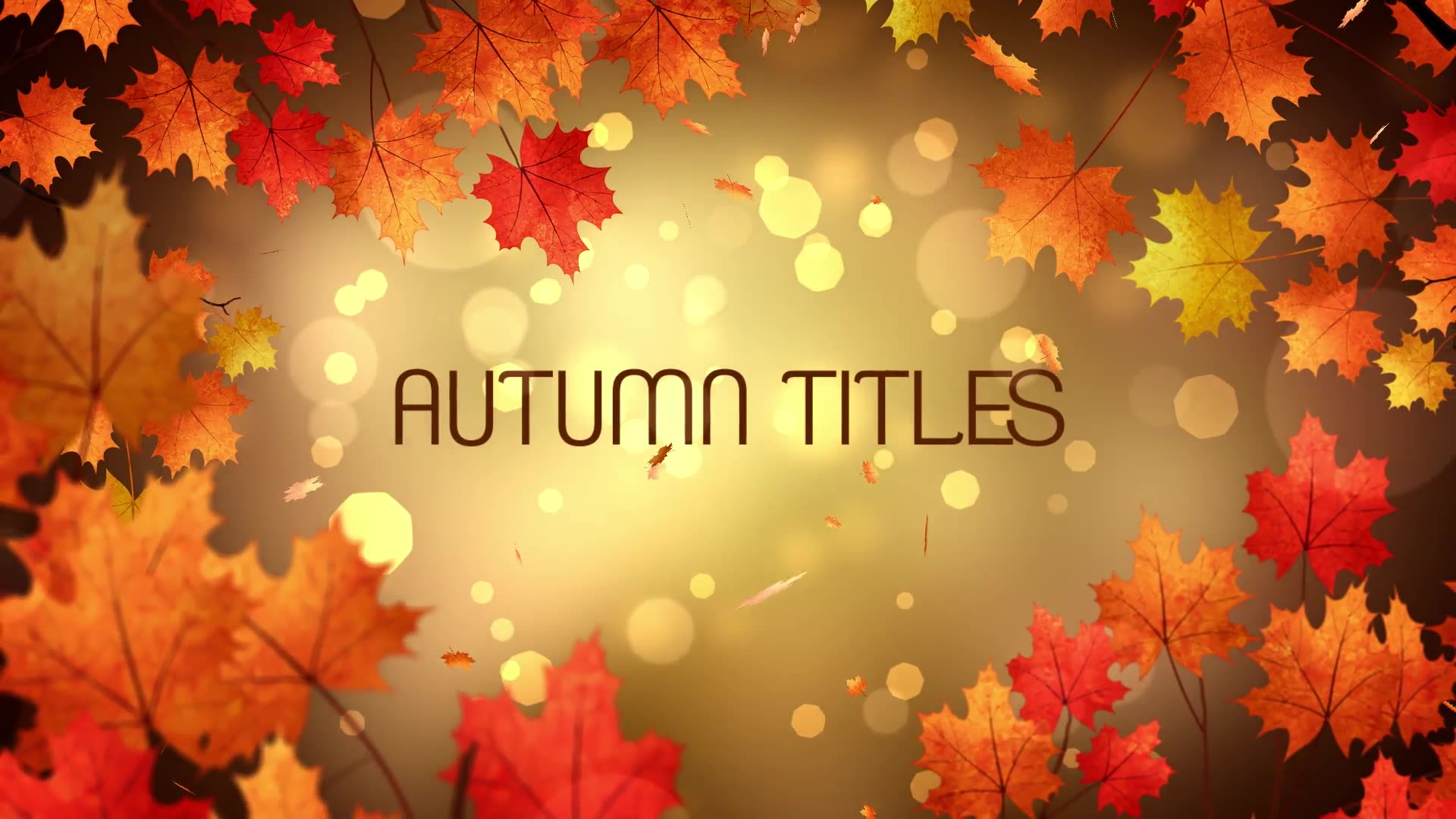 Autumn Titles Download Fast 24779626 Videohive After Effects