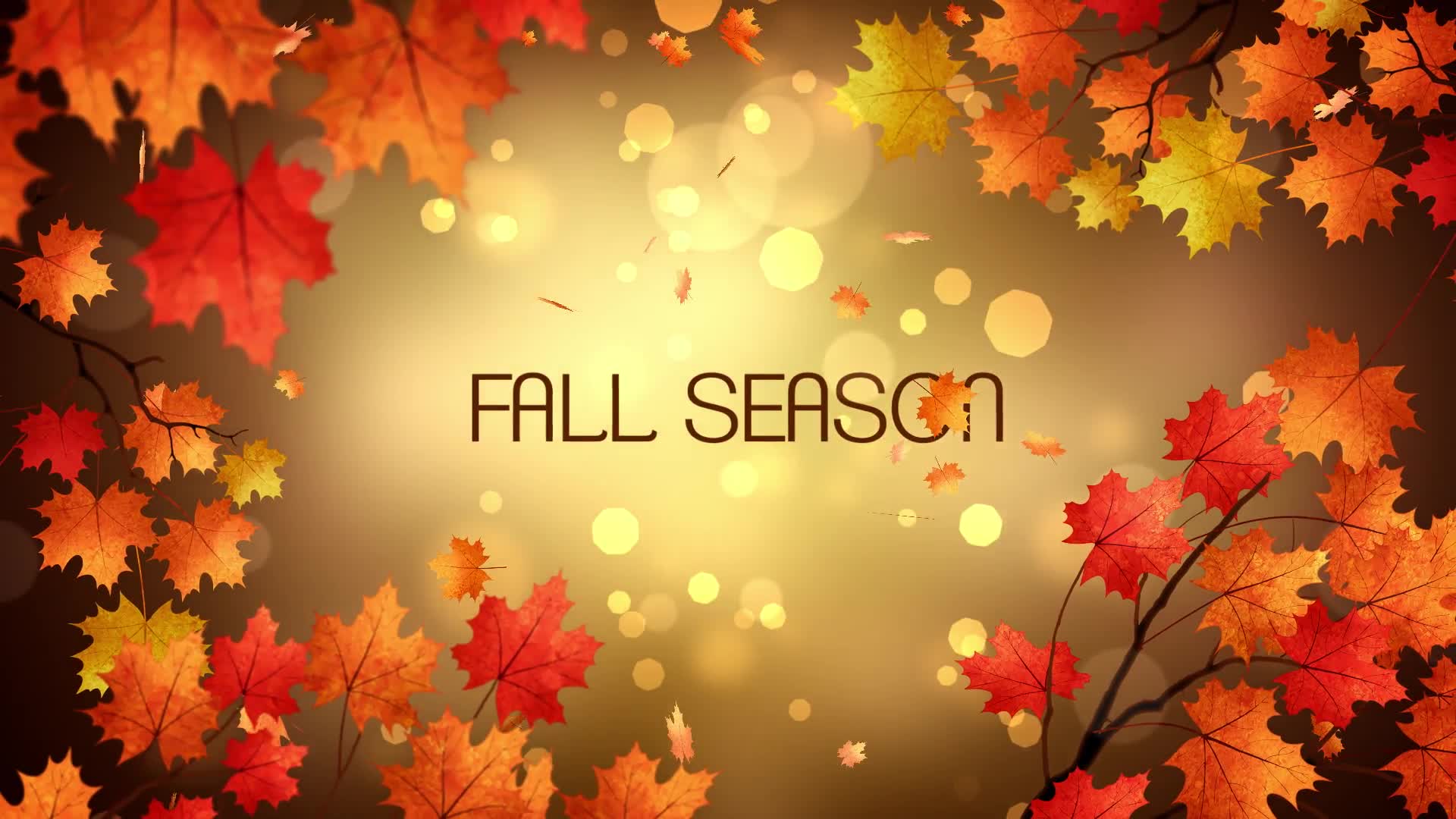 Autumn Titles Videohive 24779626 After Effects Image 7