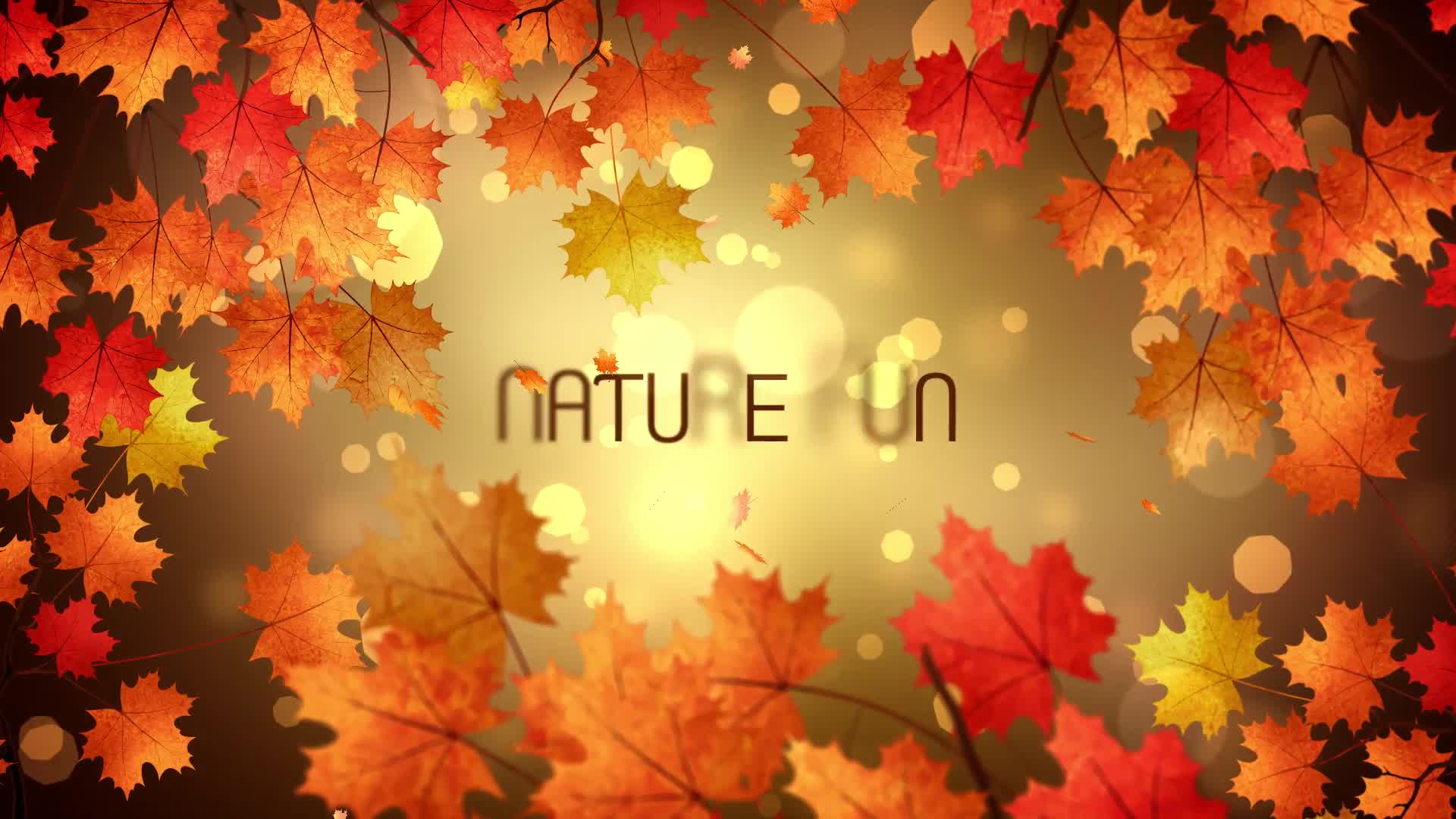 Autumn Titles Videohive 24779626 After Effects Image 8