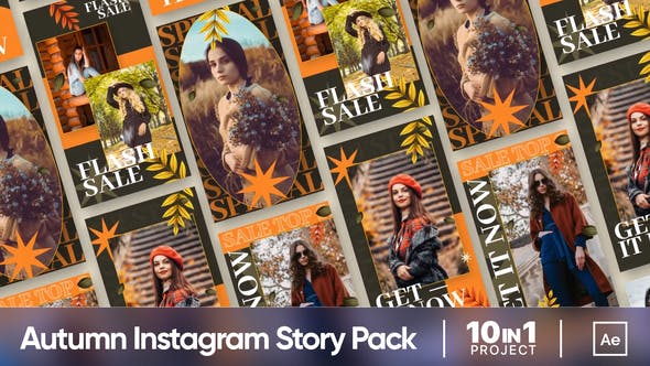Autumn Vibes Sale Promo | Instagram Story Pack - Videohive Download 34371619
