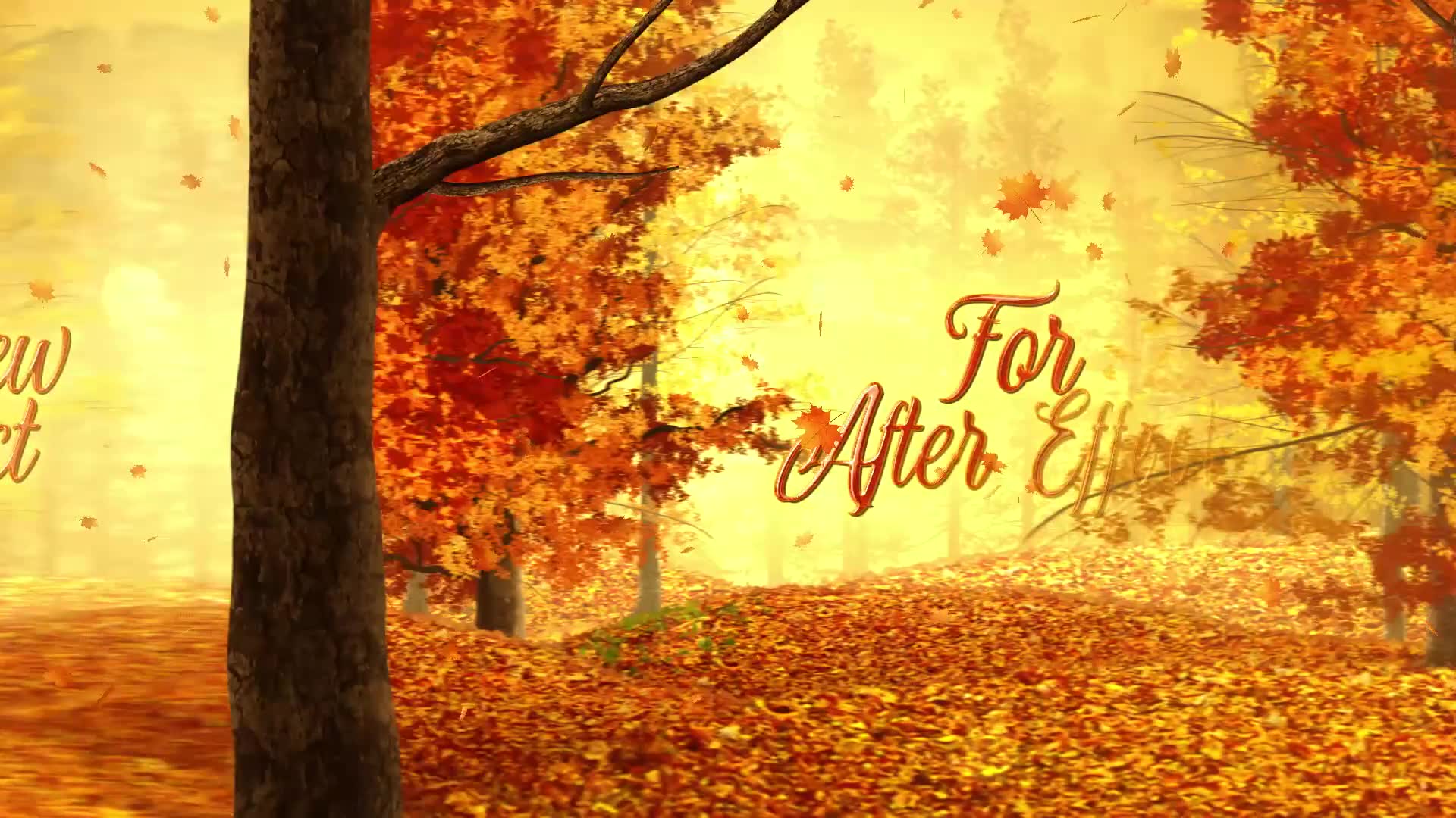 Autumn Woods Titles Videohive 33925235 After Effects Image 3