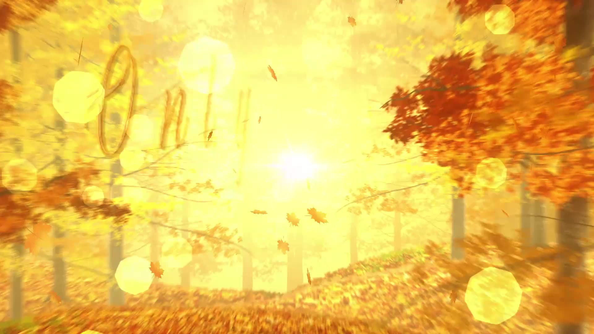Autumn Woods Titles Videohive 33925235 After Effects Image 4