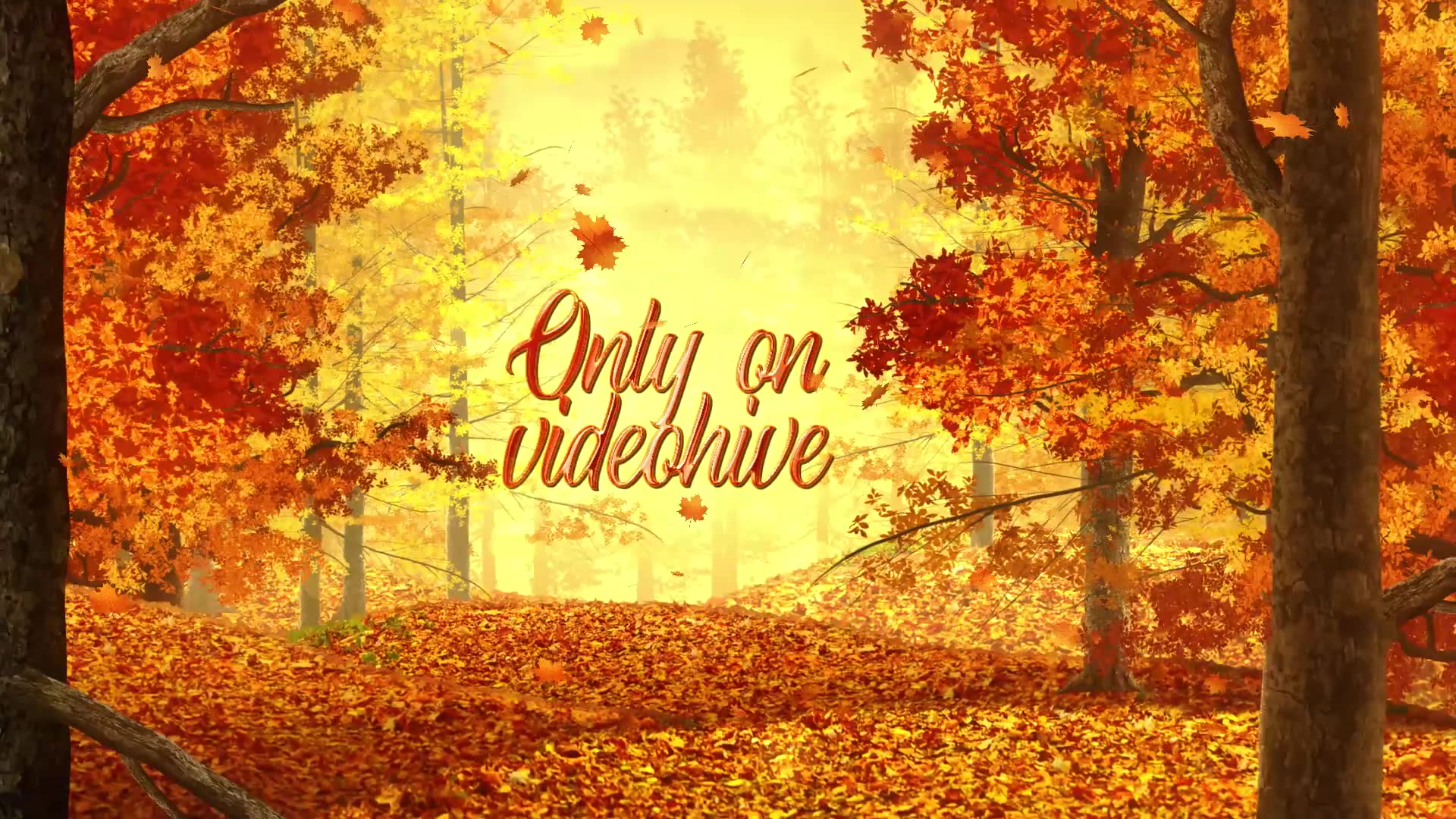 Autumn Woods Titles Videohive 33925235 After Effects Image 5