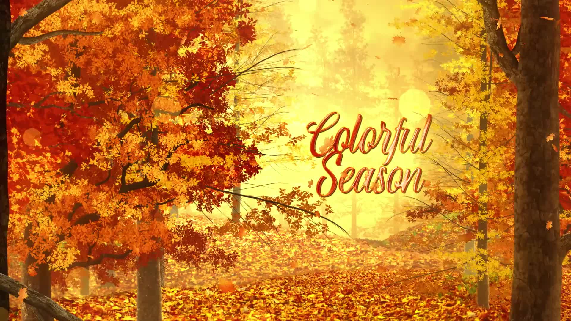 Autumn Woods Titles Videohive 33925235 After Effects Image 7.