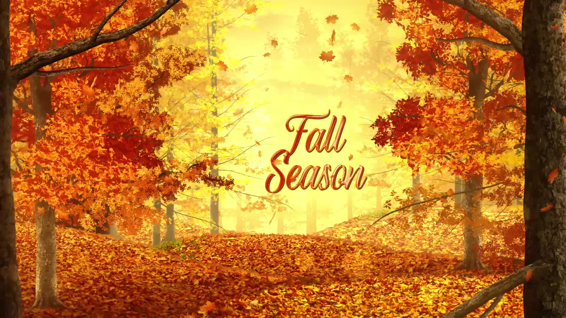 Autumn Woods Titles Videohive 33925235 After Effects Image 8