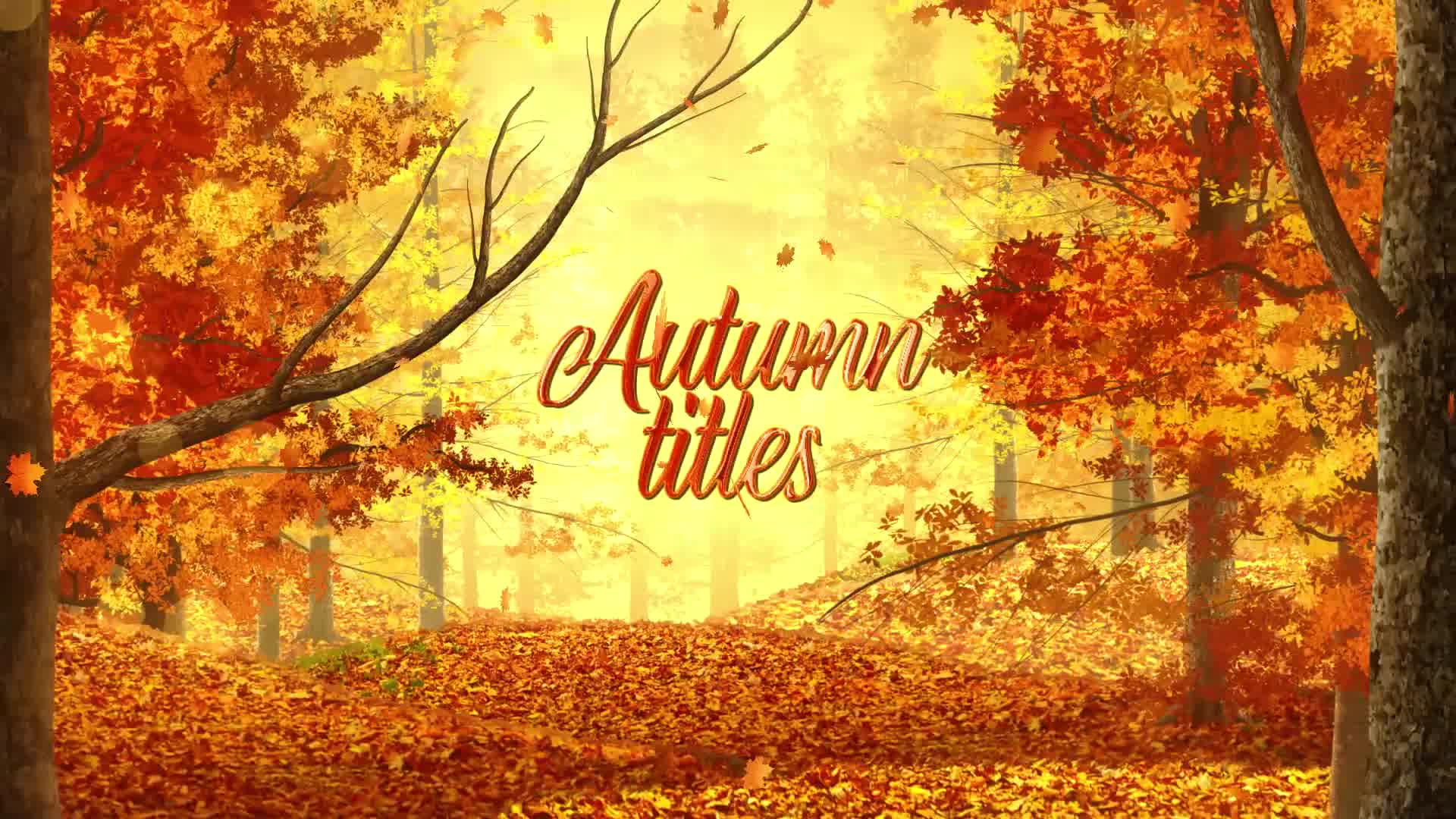 Autumn Woods Titles Videohive 33925235 After Effects Image 9