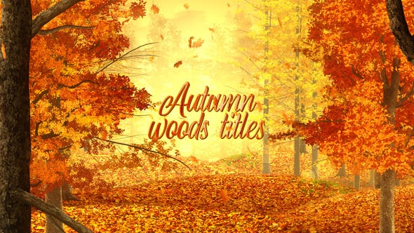 Autumn Woods Titles - Videohive Download 33925235