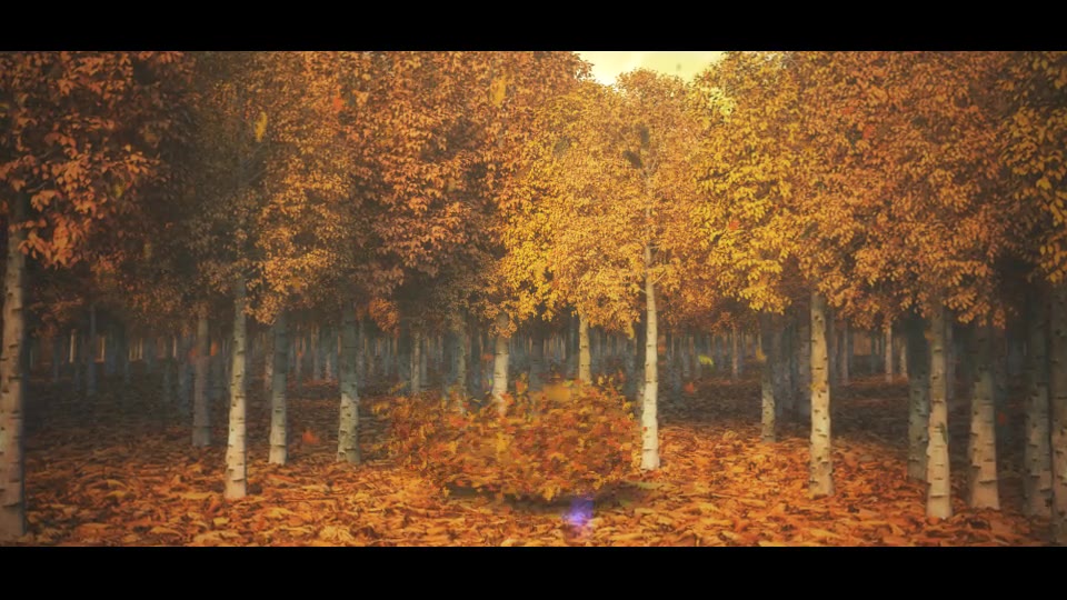 Autumn/Nature Leaf Logo Reveal Videohive 28496056 After Effects Image 2