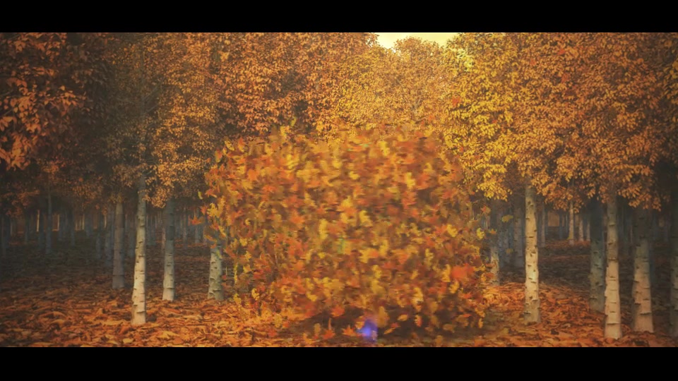 Autumn/Nature Leaf Logo Reveal Videohive 28496056 After Effects Image 3