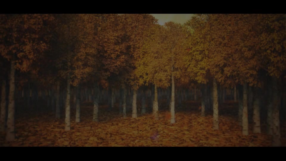 Autumn/Nature Leaf Logo Reveal Videohive 28496056 After Effects Image 6