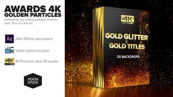 Awards 4K Golden Glitter Particles Titles - Download Videohive 24982436