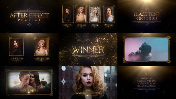Awards - Download Videohive 23262663