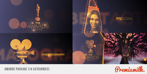Awards Package - Download Videohive 7053845