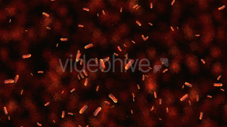 Bacteria Micro Organisms Background - Download Videohive 20720895