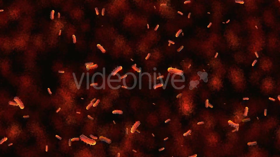 Bacteria Micro Organisms Background - Download Videohive 20720895