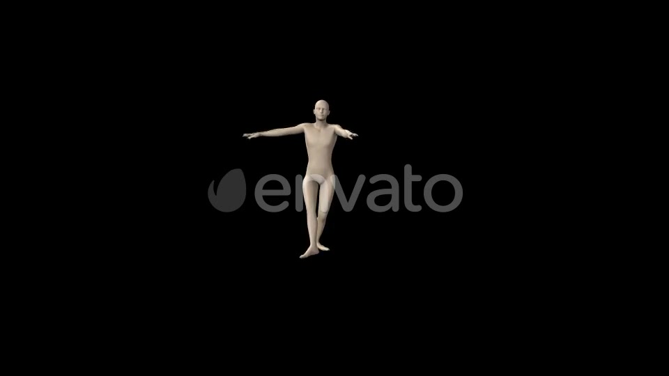 Ballet Walk - Download Videohive 21586481