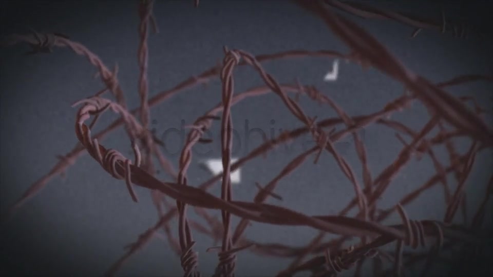 Barbed Wire - Download Videohive 7286901