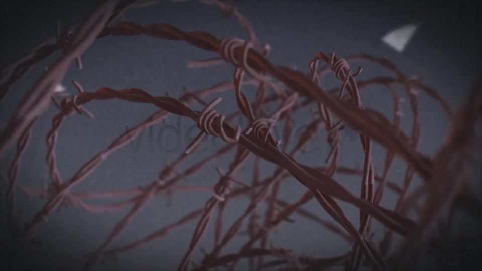 Barbed Wire - Download Videohive 7286901