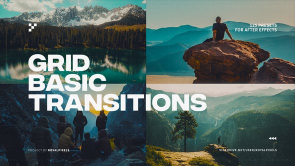 Basic Grid Transitions - Download 38621188 Videohive